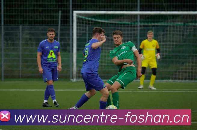 emc易倍·(中国)体育官方网站品牌故事